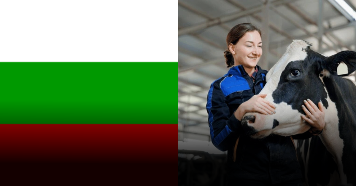 Trends in Hiring Unskilled Workers in Bulgaria Farm 2025