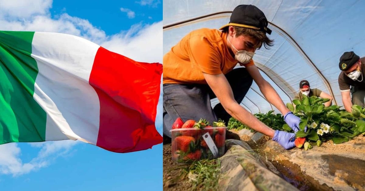 Italy's Seasonal Farm Work Explained