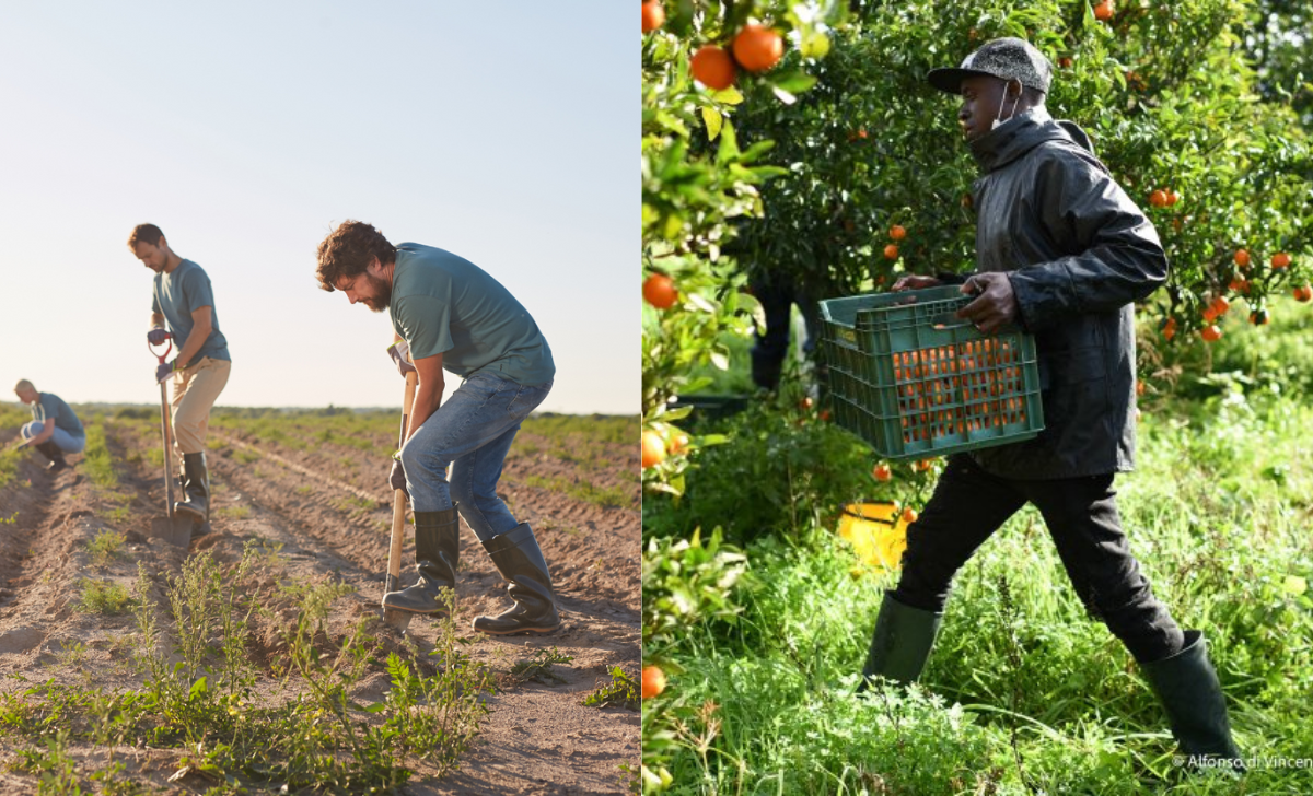 Why Employers Hire Unskilled Foreign Workers