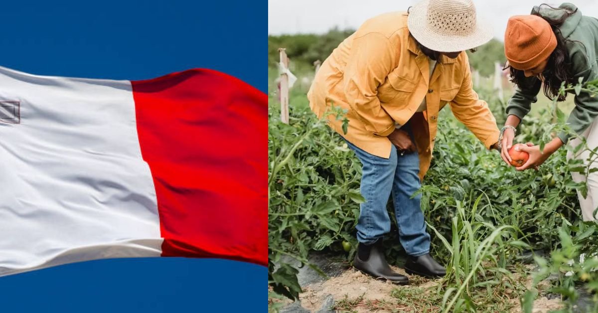 Malta Agriculture Careers for Foreign Applicants