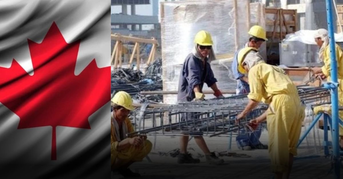 How to Apply for Entry-Level Jobs in Canada (2025)