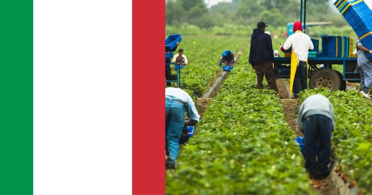 Italy Farm Worker Visa Sponsorship Jobs – Apply 2025