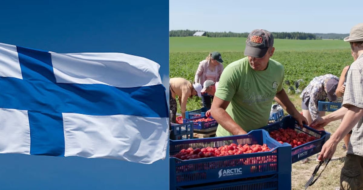 Finland Agriculture Work Visa – Step-by-Step