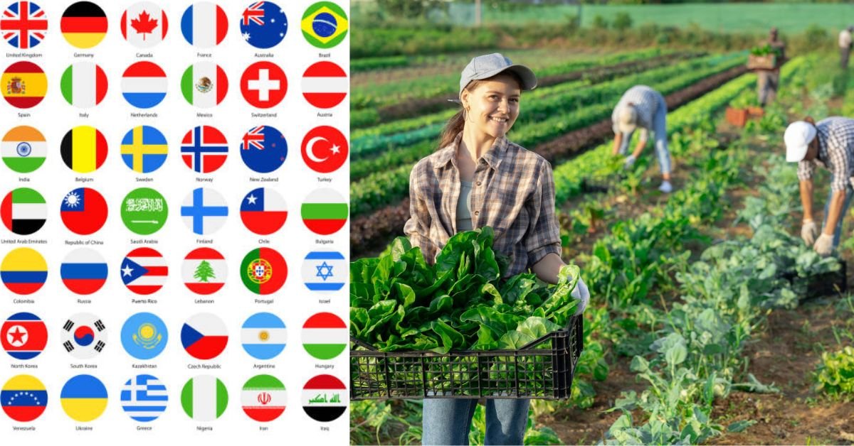 Portugal Seasonal Employment for Foreign Job Seekers