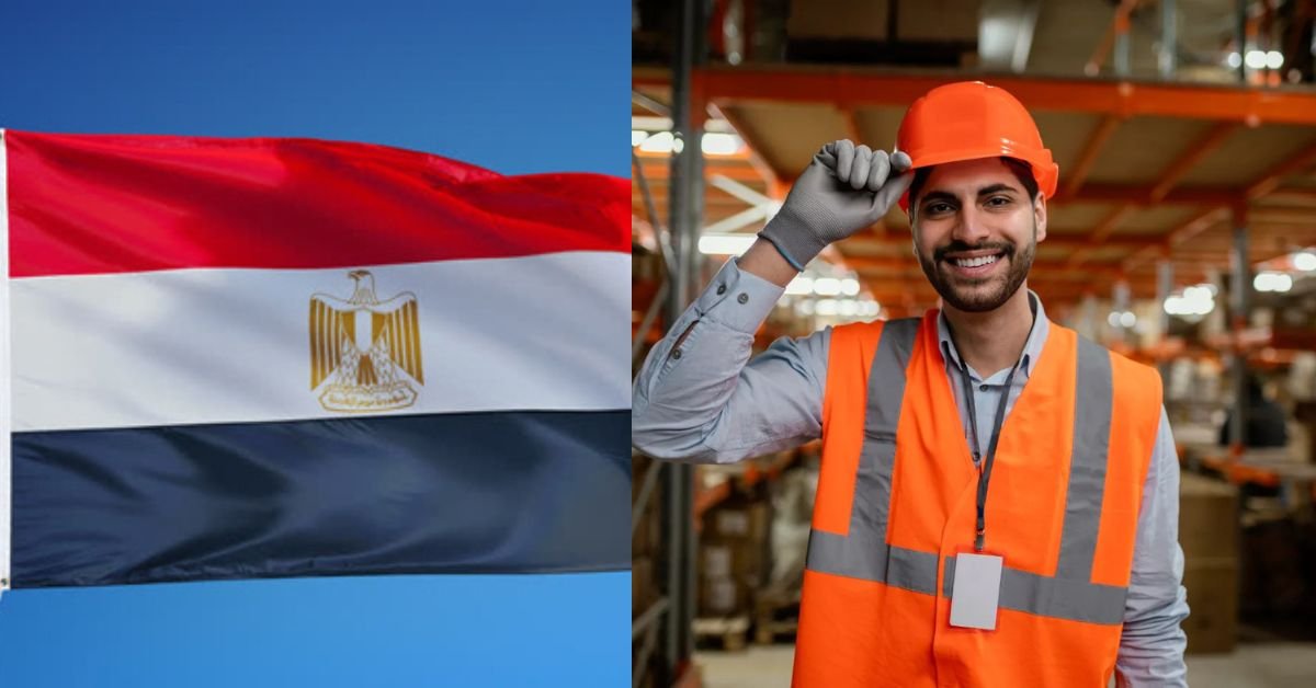 Egypt Skilled Job Visa Application